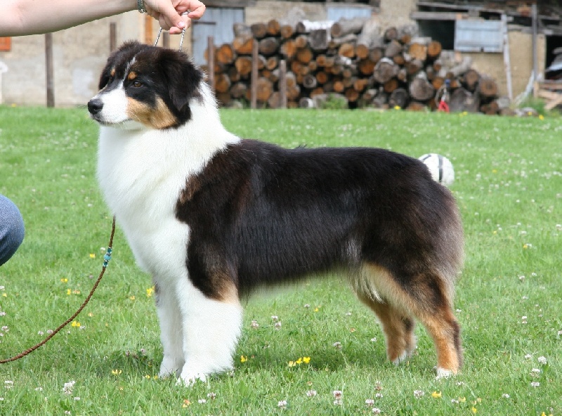 Gaia des roches d'Orvaz